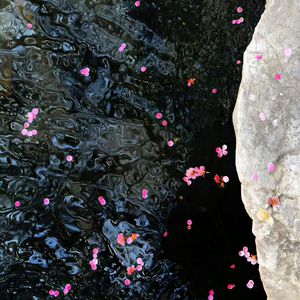 被糙汉强行灌满精H肉视频
