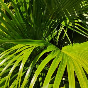 被糙汉强行灌满精H肉视频
